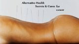 “ALTERNATIVE HEALTH SECRETS” Vol 1